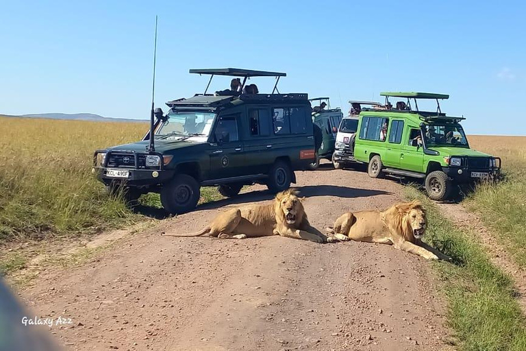 VIAGEM DE 1 DIA PARA O PARQUE NACIONAL DE AMBOSELI SAINDO DE NAIROBI, COM ORÇAMENTO LIMITADO.