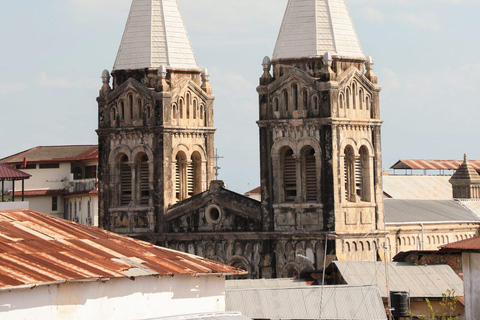 桑给巴尔：石头城、监狱岛和萨拉姆洞海龟