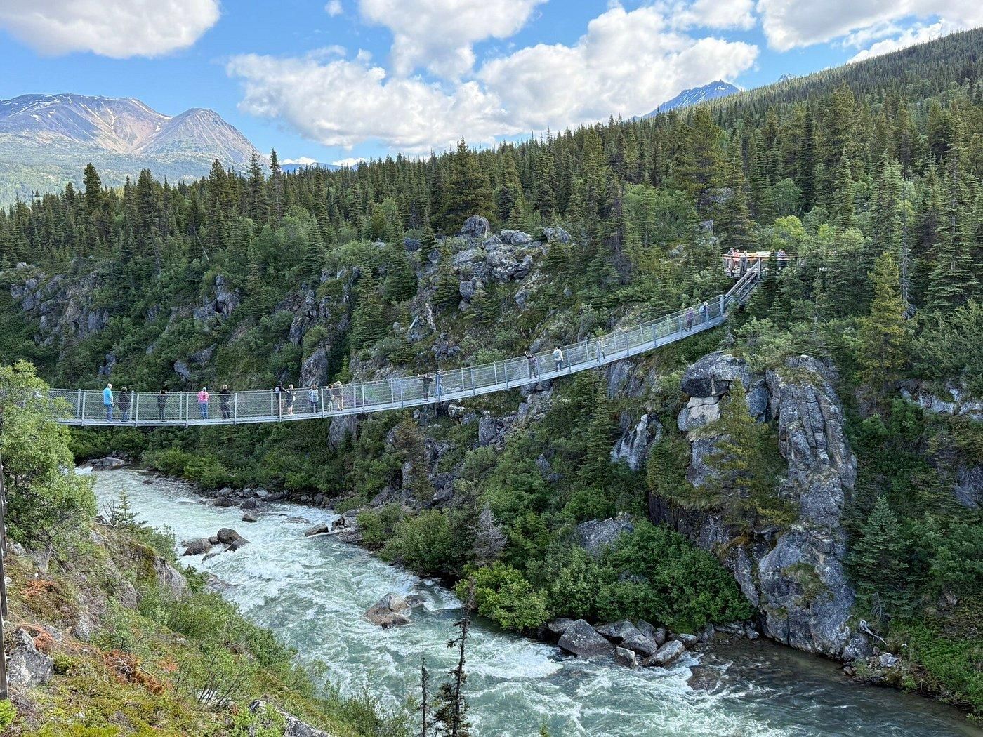 Whitehorse: Yukon-Winter-Wildnis- & Nordlichter-Tour
