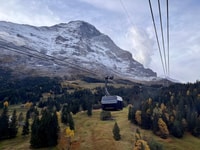 Excursion d'une journée complète dans la région de Jungfrau - Housity