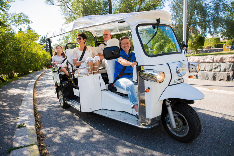 Prague: Electric Tuk-Tuk City Tour with Guide Prague River Side 1,5 hour Tour