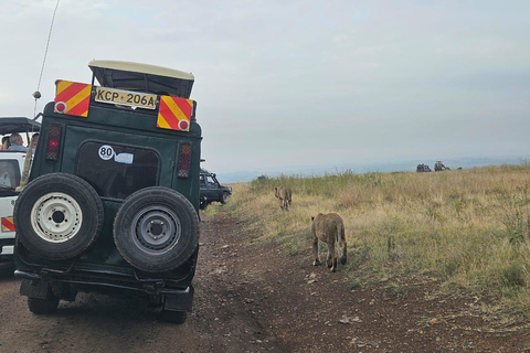 Parc national de Nairobi : promenade nocturne avec prise en charge gratuite