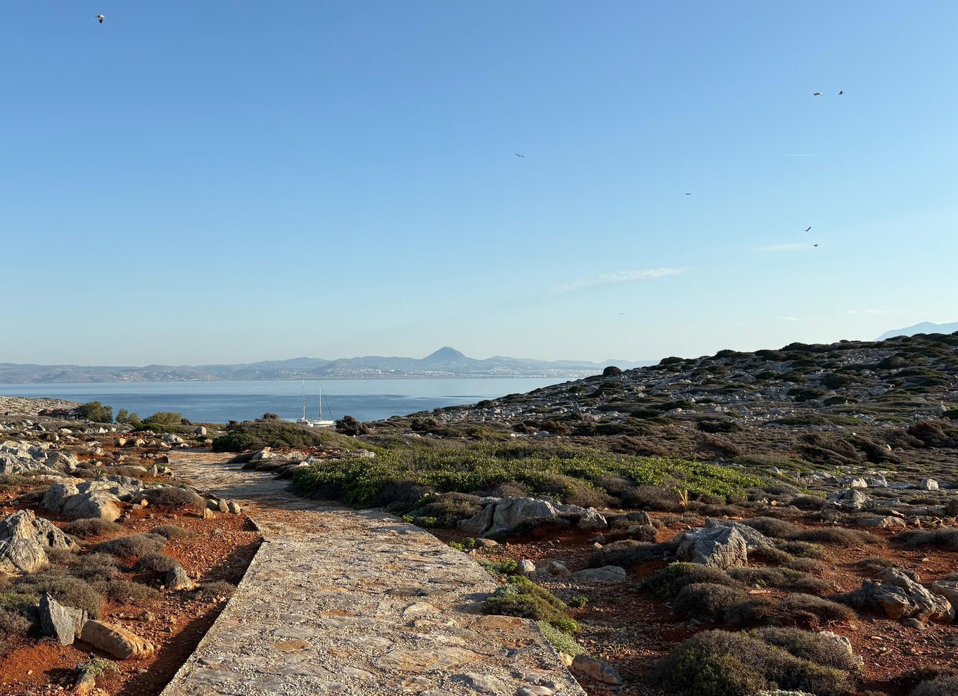 Sejltur fra Heraklion til Dia Island | All inclusive