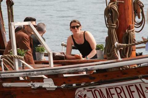 Oslo: Fjord Minicruise per Houten Zeilschip