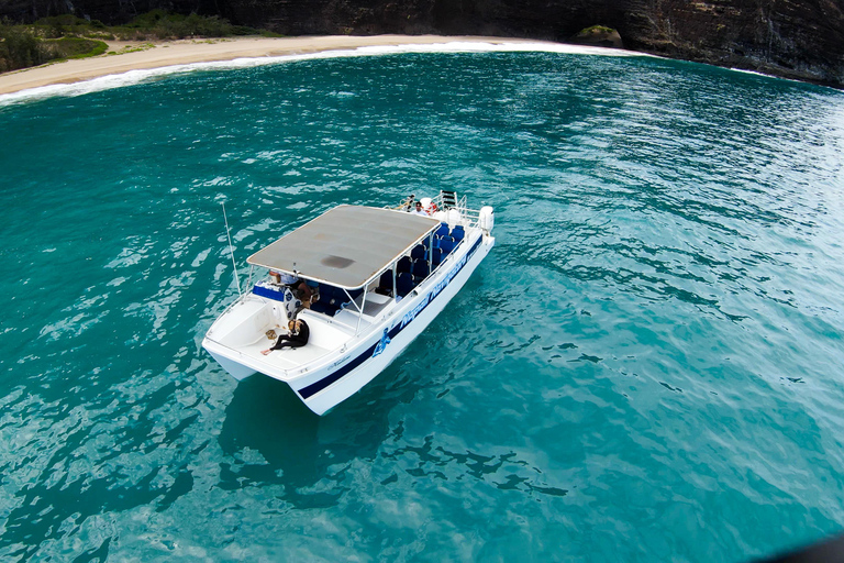 Kauai: Schnorchel-Tour an der Na Pali-Küste mit MittagessenÖffentliches Schnorcheln an der Na Pali-Küste mit Mittagessen