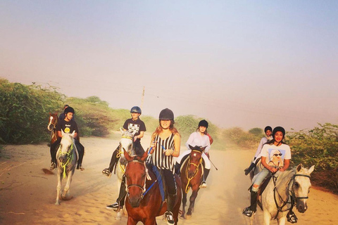 Doha : Private Horse Ride Experience With Pickup &amp; Drop Off