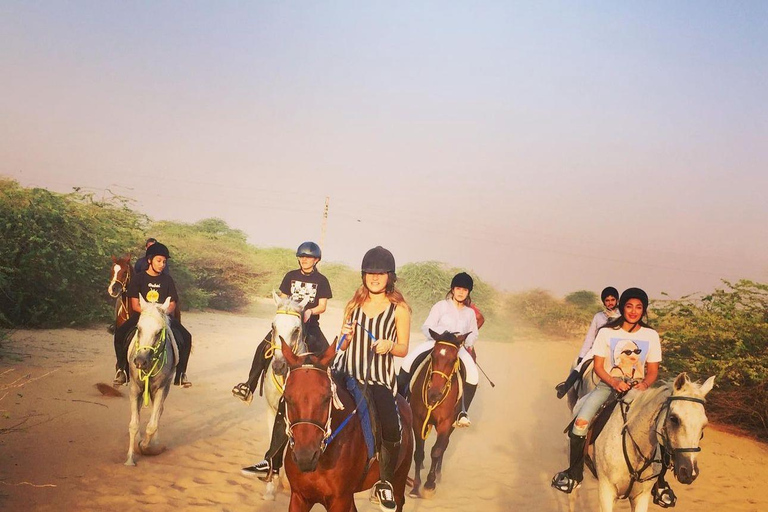 Doha : Private Horse Ride Experience With Pickup &amp; Drop Off