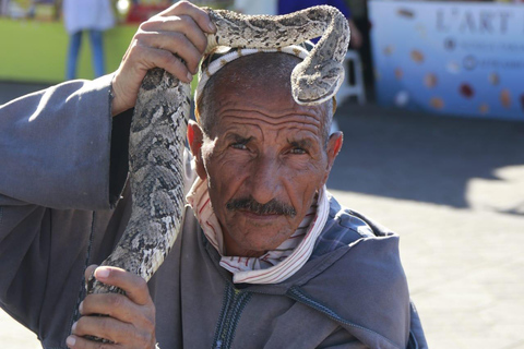 Das funkelnde Marrakesch in den Augen deines lokalen Guides