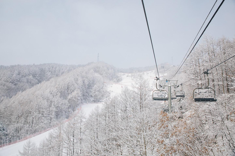 Seoul: Elysian Ski Resort & Eobi Ice Valley Depart from Hongik Univ. Station Exit 4