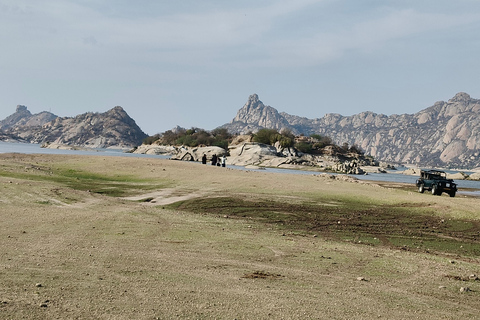 Udaipur to Jodhpur: Ranakpur Temple & Jawai Leopard Safari