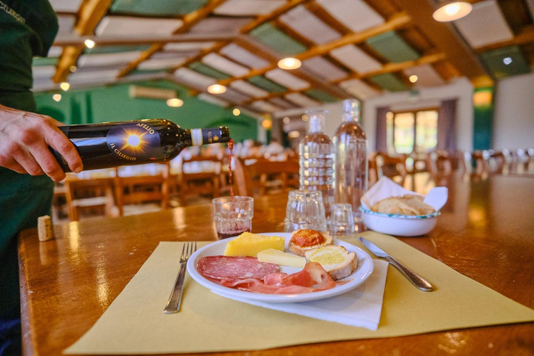 Excursion d&#039;une journée à Pise, Sienne et San Gimignano depuis FlorenceVisite avec déjeuner et dégustation de vin