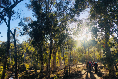 Perth: Numbat Trail Hike at Paruna Wildlife Sanctuary