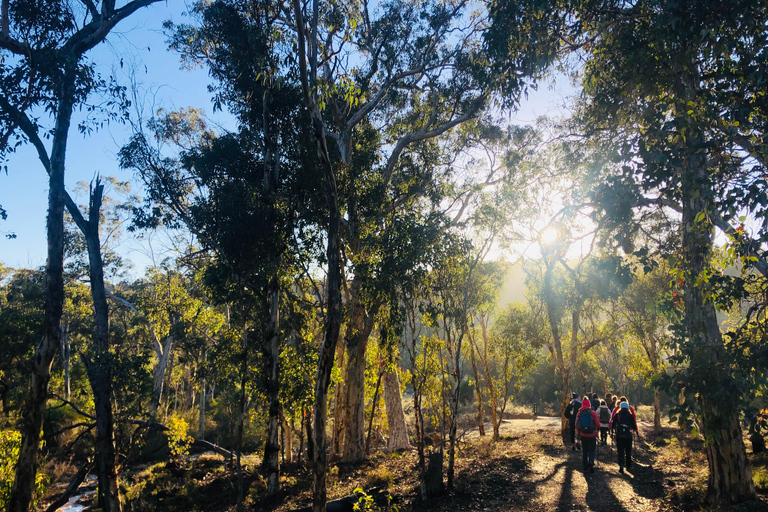 Perth: Numbat Trail Hike at Paruna Wildlife Sanctuary
