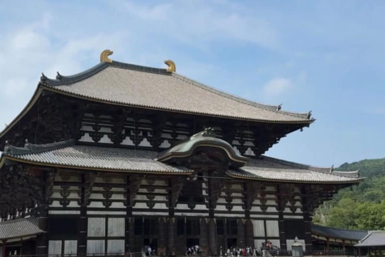 Nara: Deer, Temples, and Hidden Lanes Walking Tour Regular Meal Option