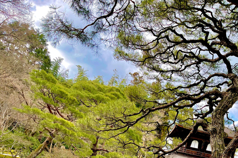 Japan: 6-Day Private Guided Tour with Accommodation