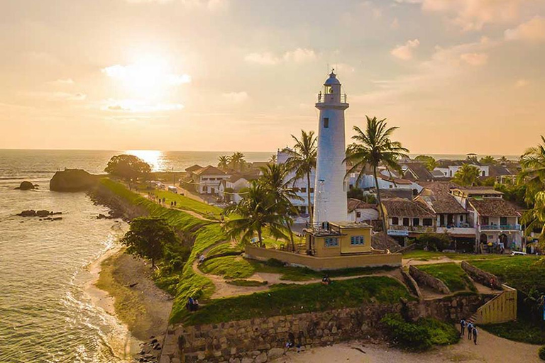Galle Dutch Fort, Sea Turtle, River Safari & Beach Day Trip