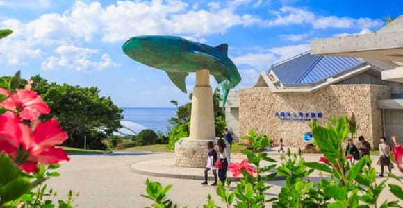 Naha : nord d'Okinawa et aquarium Churaumi