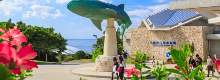Naha: tour panoramico di Okinawa Nord e acquario di Churaumi