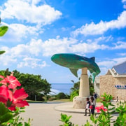 Naha: North Okinawa Sightseeing Tour & Churaumi Aquarium