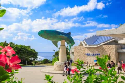 The best Okinawa Bus & minivan tours 2026 - Free cancellation