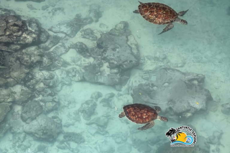 Zanzibar : forêt de Jozani, grotte de Salaam et restaurant The RockTransfert depuis n'importe quel endroit à Zanzibar