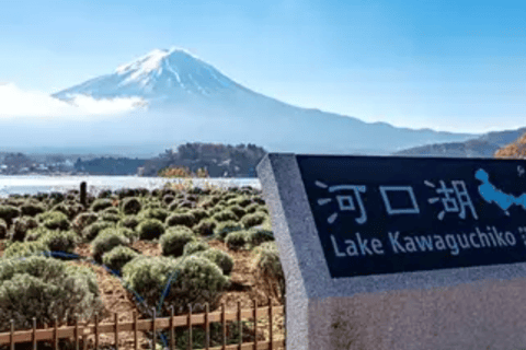 Tóquio: Monte Fuji, Lago Ashi e Monte Komagatake - Viagem de 1 diaTóquio: Viagem de 1 dia ao Monte Fuji, Lago Ashi e Monte Komagatake