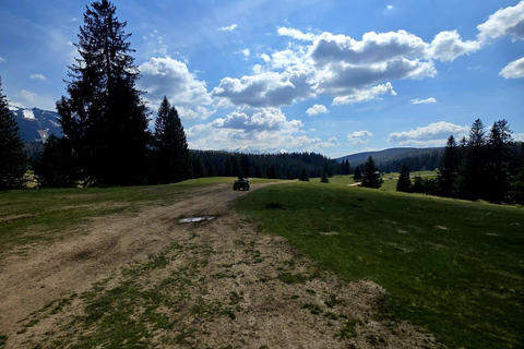 Poiana Brasov: Guided ATV Ride Through Mountain Forest