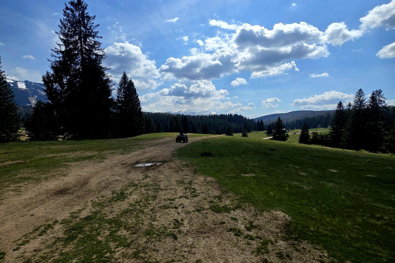 Poiana Brasov: Guided ATV Ride Through Mountain Forest