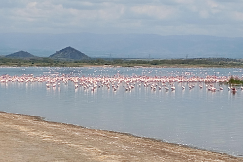 "Lake Naivasha Day Trip & Scenic Boat Ride Adventure"