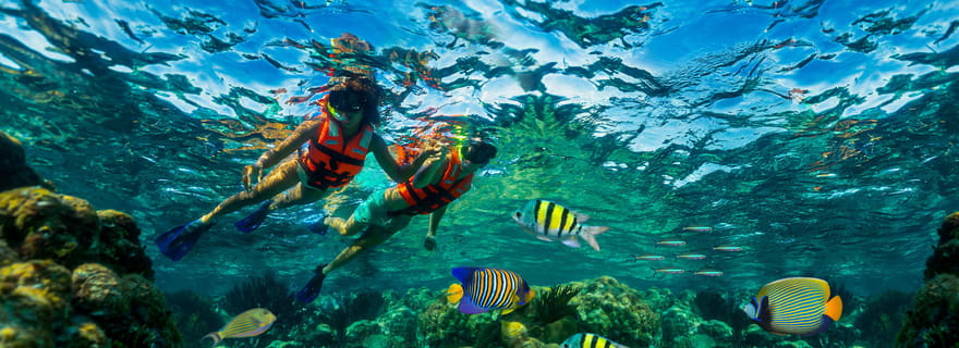 Cancún : excursion de plongée avec tuba dans le récif de Puerto Morelos et déjeuner en bord de mer