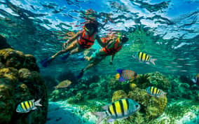 Puerto Morelos: Snorkel, Town Walk, Tequila & Beach Lunch