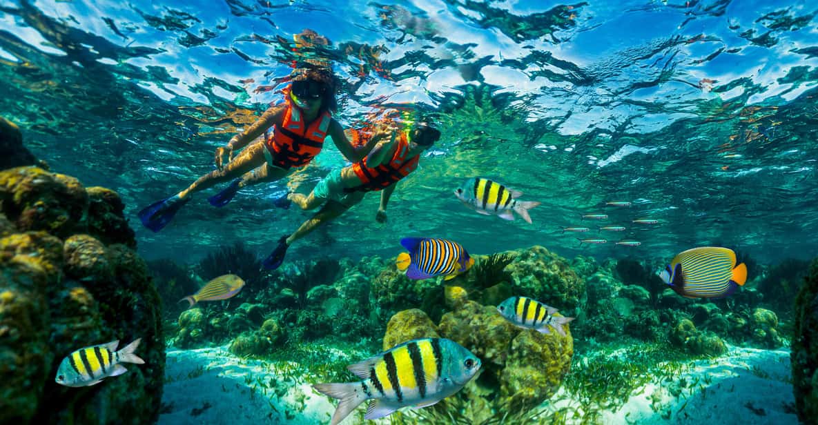 Puerto Morelos: Snorkel, Town Walk, Tequila & Beach Lunch — a boat tour from Cancun, Mexico