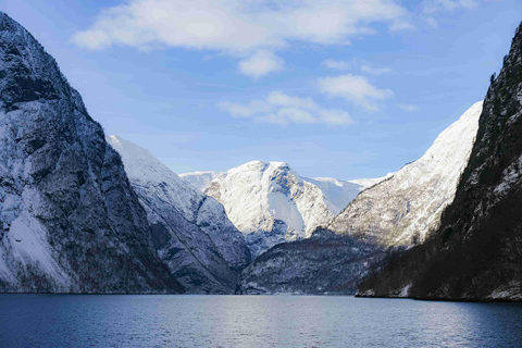 Bergen: Stegastein, Viking Village, Flåm & Nærøyfjord Cruise