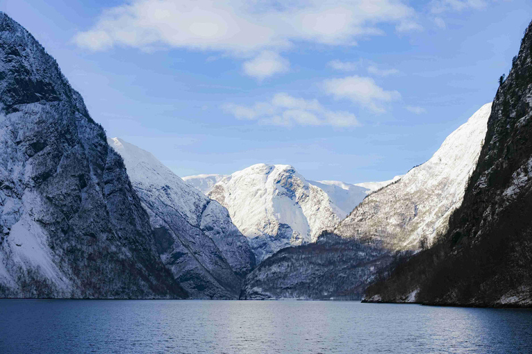 Bergen: Stegastein, Viking Village, Flåm & Nærøyfjord Cruise