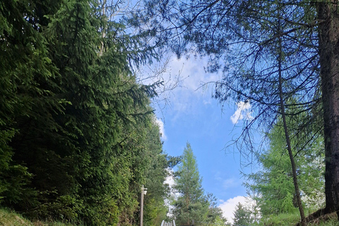 Zakopane: Alpine Coaster & Czorsztyn Castle Tour