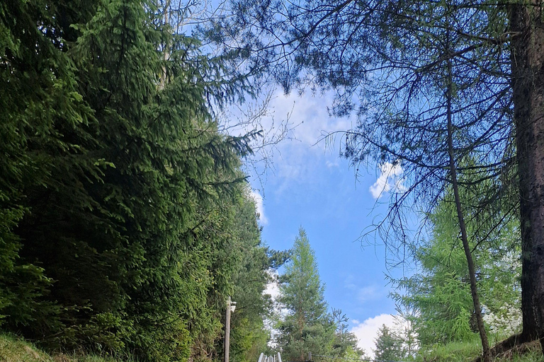 Zakopane: Alpine Coaster & Czorsztyn Castle Tour