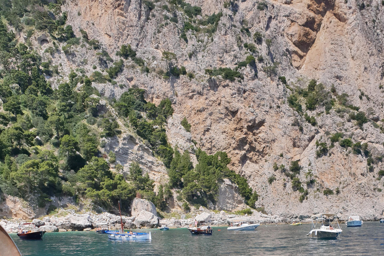 Sorrento: Boat Tour with Swimming Stops and Drinks