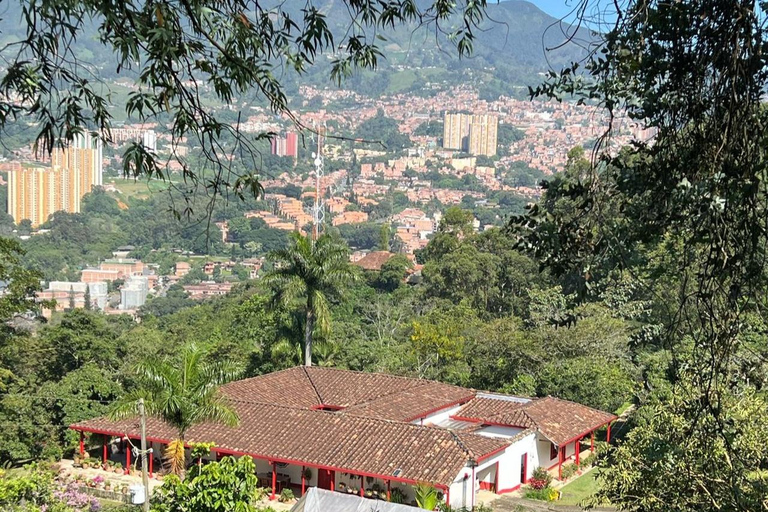 Medellín : Tournée des cafés dans les montagnes