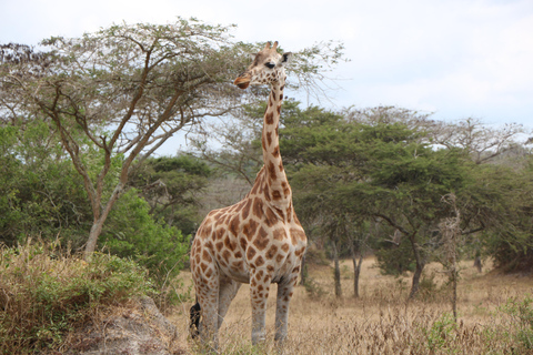 Lake Mburo National Park: 2 - Days wildlife Experience