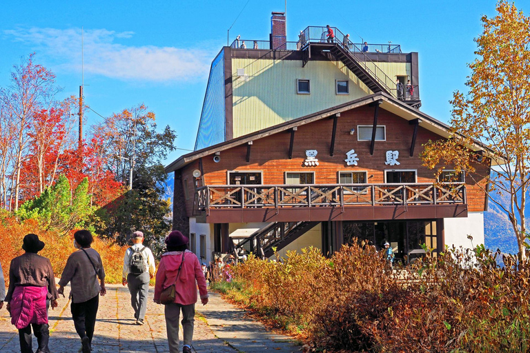 Hokkaido│Kurodake Ropeway, Asahiyama Zoo Autumn Leaves Tour