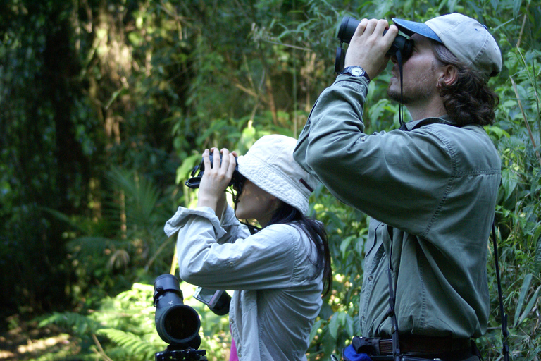 5-tägige Iguazu-Fälle: Dschungel-Lodge &amp; Flugticket von Buenos AiresMit Flugpreis