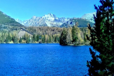 From Zakopane: High Tatras Treetop Walk and Strbske Pleso