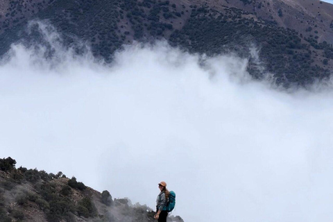 Marrakech: Atlasbergen topptur dag vandring 2700m