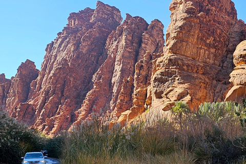 AlUla: Wadi Al Disah Day Trip with Guide
