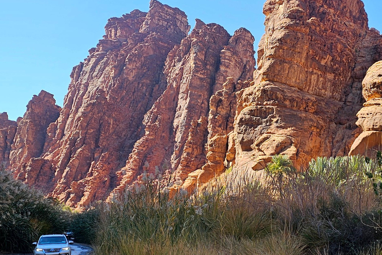 AlUla: Wadi Al Disah Day Trip with Guide