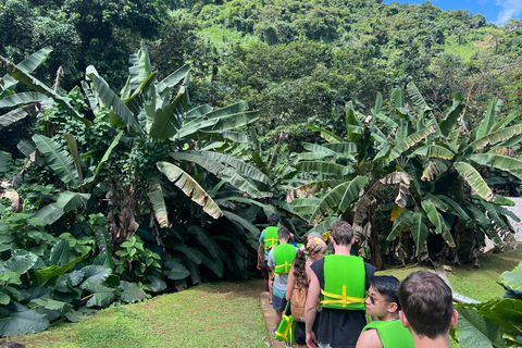 El Yunque Rainforest; Waterslides, Beach, Dine and Shop Tour El Yunque Rainforest Waterslides and Beach Tour