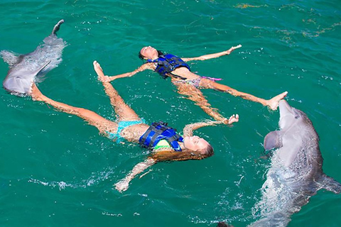 Punta Cana Dolphin Swim Adventure: 40-min Dolphin Experience