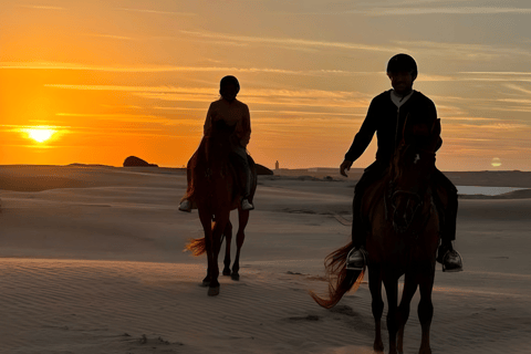 Doha: Desert Horse Riding with Beach Games & Sunset