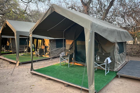 Vanuit Johannesburg: 2-daagse Kruger National Park Tented Safari