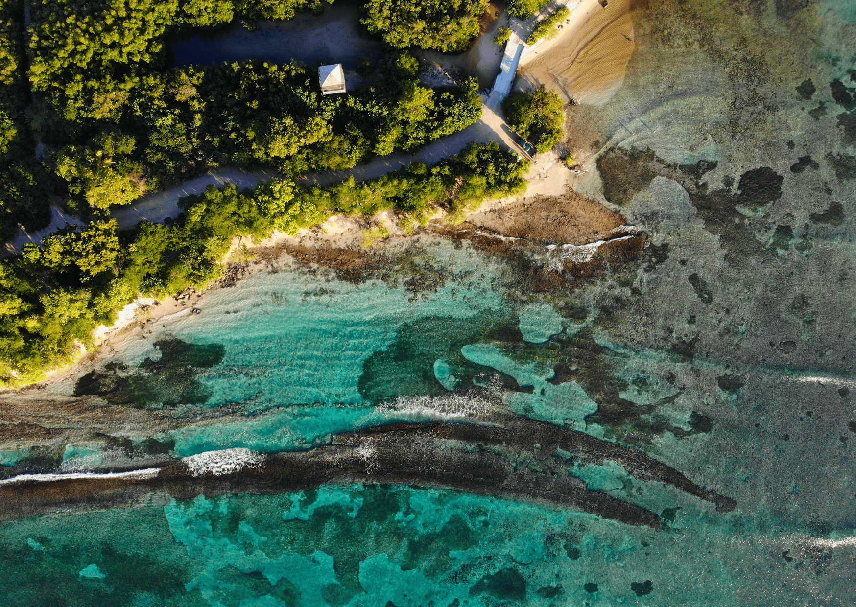 Guadeloupe: Entdecke die Pointe des Châteaux mit dem E-Bike